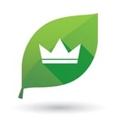 Illustration of a green leaf icon with a crown